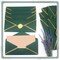 Business Envelopes with V-Flap,Gold Border 30 Pack #10 Envelopes Made of 150gsm Paper, Standard Envelopes with Gold Stickers for Office, Checks, Letter Mailing,9.45 x 4.13 Inches (Christmas Green)